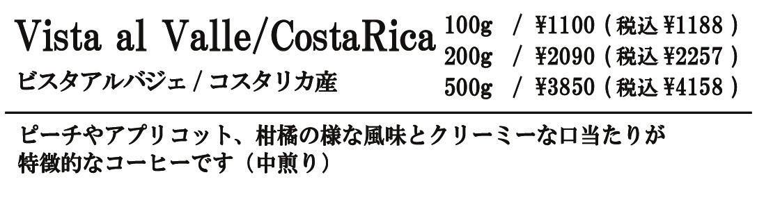 ビスタアルバジェ